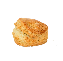 Plain Scone